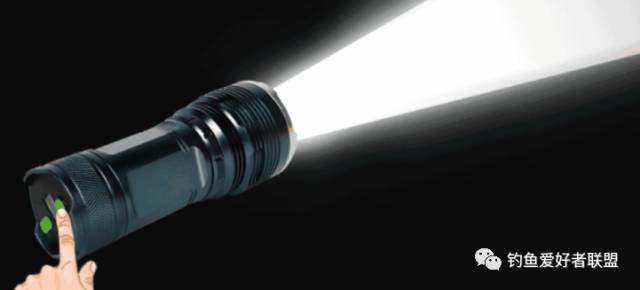 最新夜钓灯揭秘与探索✨