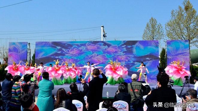 🌟临沂最新房源全面揭秘🌟