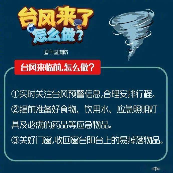天鹆台风最新动态及防御应对指南,初学者与进阶用户必备知识