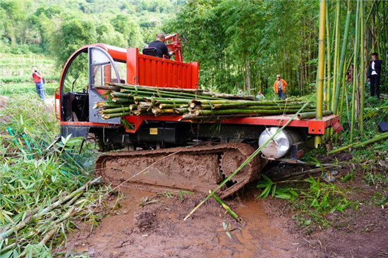 最新砍竹机,技术革新助力竹业发展的强大引擎