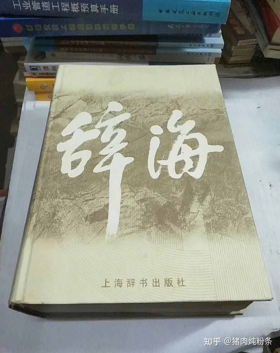 最新辞海论述,价值及其深远影响