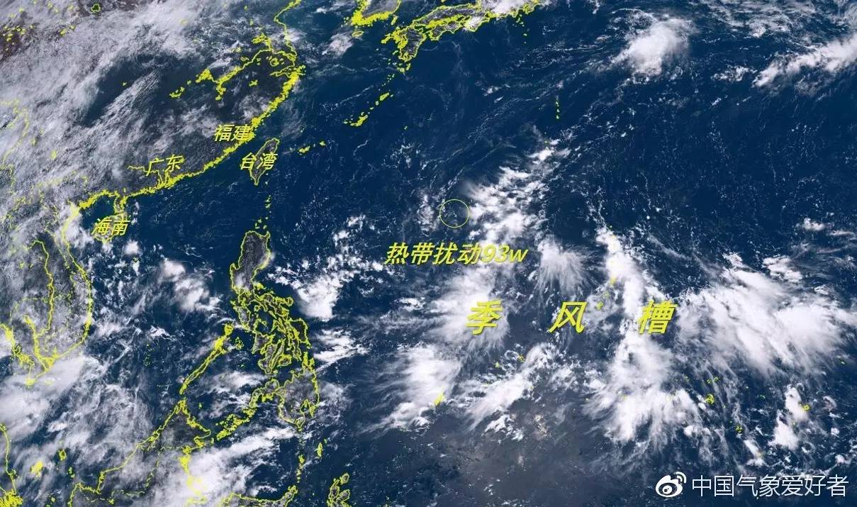 台风天鹆,逆风破浪,学习成就自信之光