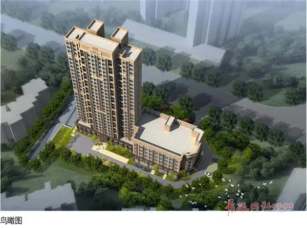 新都最新资讯更新