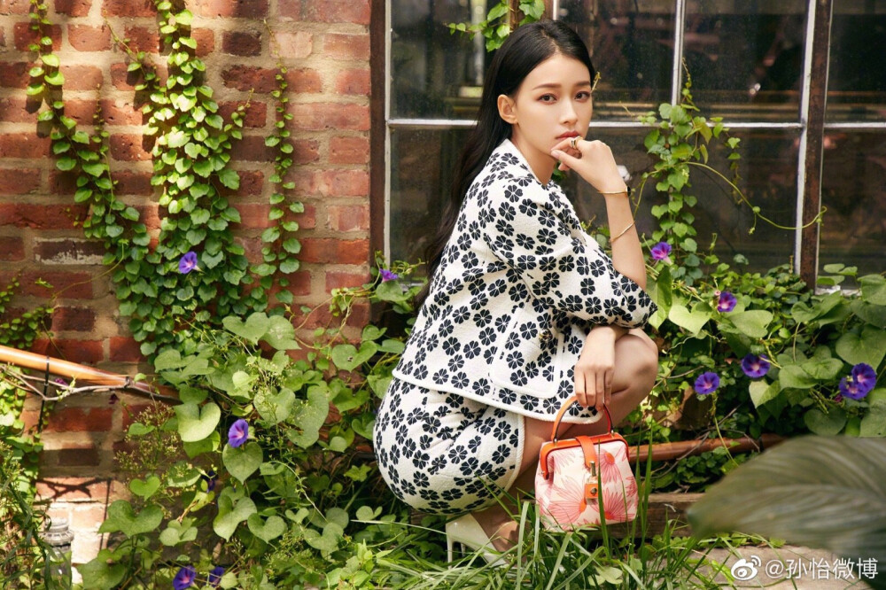 孙怡最新电视剧探秘,巷弄深处的特色小店故事