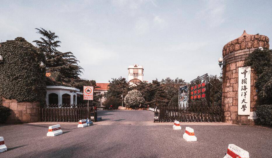 KINO下载最新版,科技引领未来生活体验