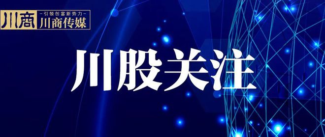 硅宝科技揭秘,小巷中的独特魅力小店探索