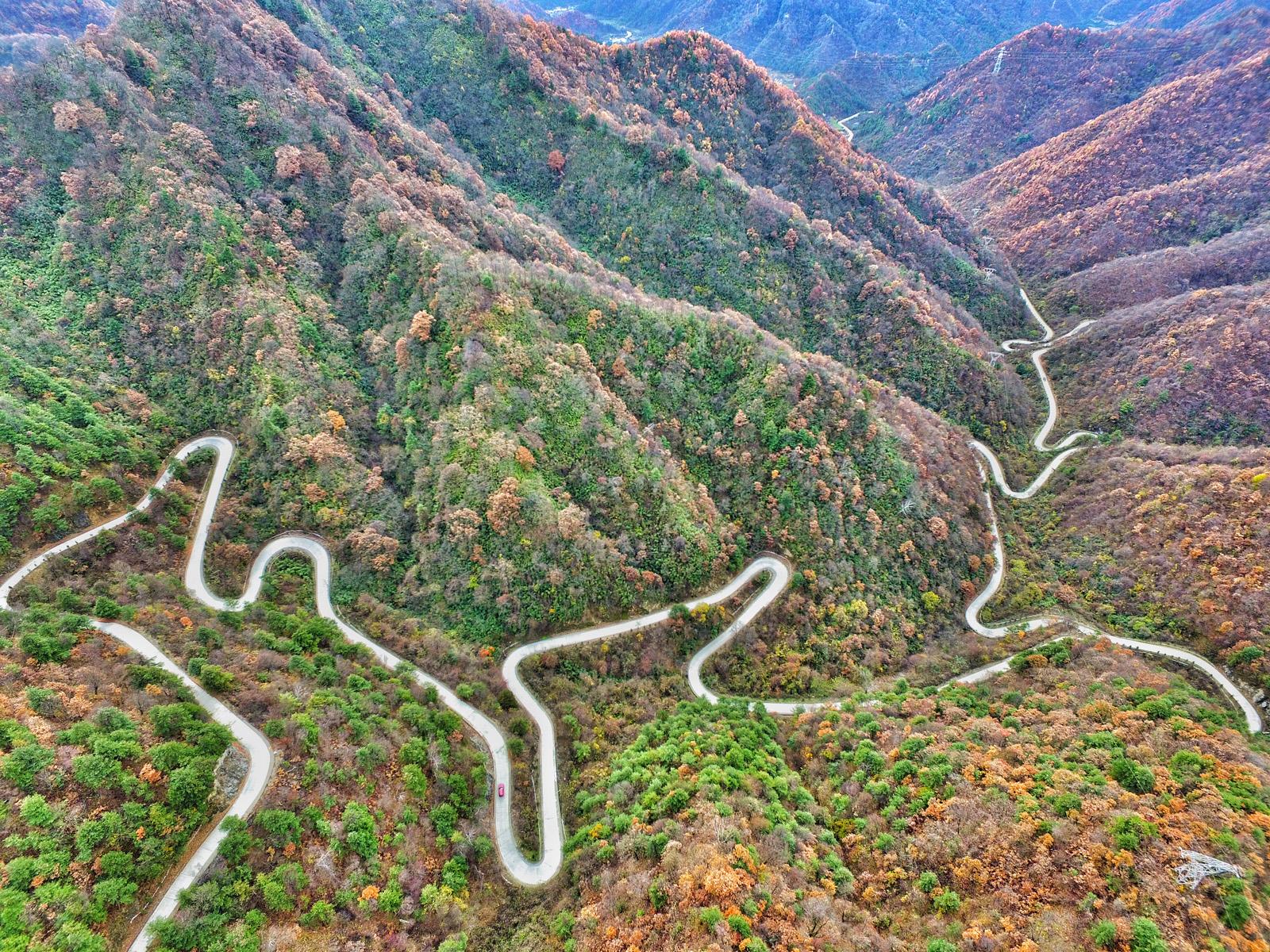 王者荣耀最新胜率探索，自然美景中的旅行奇遇