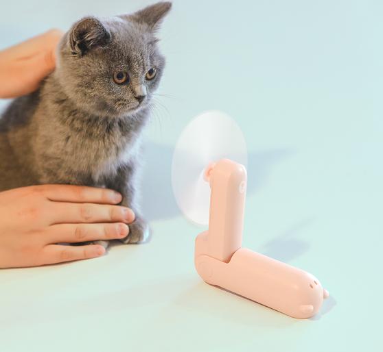 最新可爱章节目录,高科技产品介绍概览