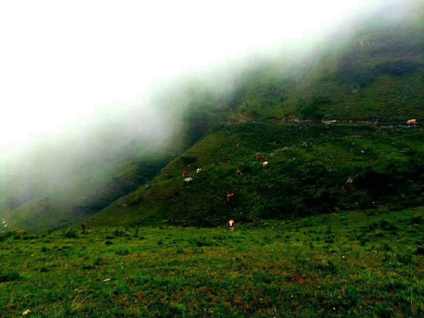 汪小敏,拥抱自然,探寻内心桃花源的最新动态