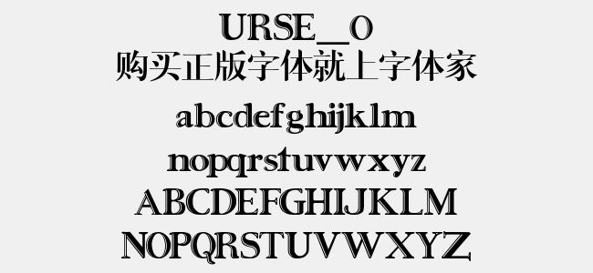 最新英文字体的奇妙日常探索