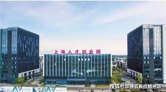 党湾最新招聘,时代的脉搏与地方发展的职业机遇