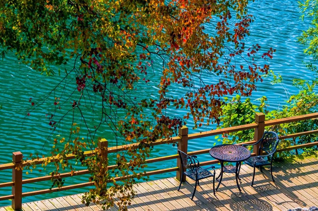 探索小巷美食秘境,最新川菜创新菜做法揭秘