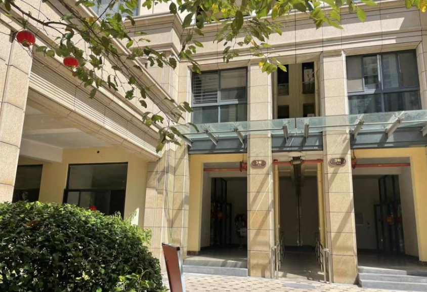 瑞安最新房屋拍卖现象,多元观点下的市场探讨