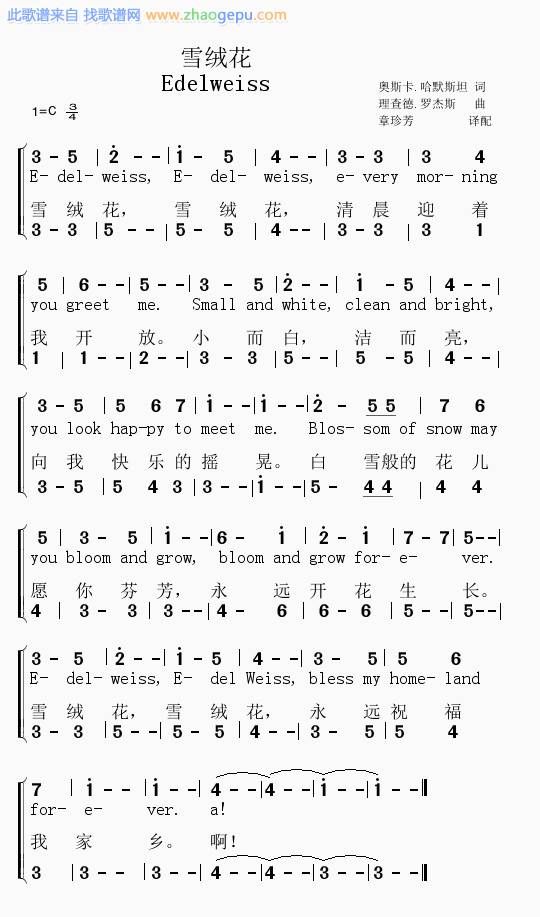 石占明最新歌曲,友情与陪伴的温馨日常