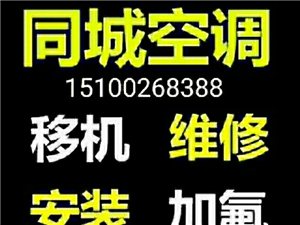 金山石化最新招聘日常趣事概览