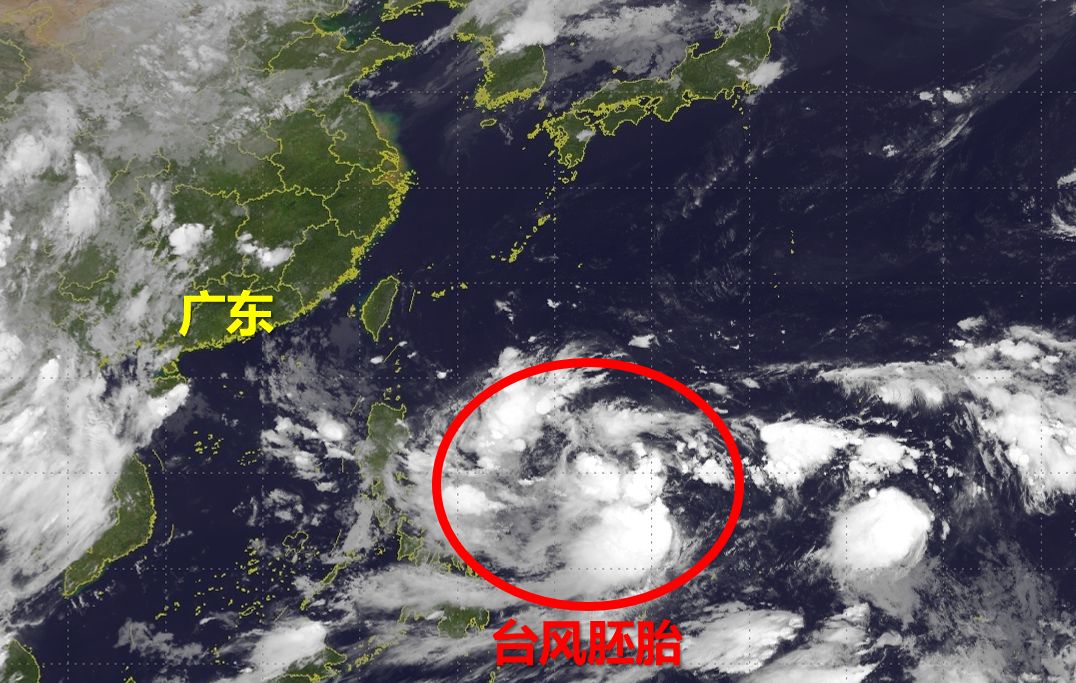 惠州台风最新消息,风暴中的城市记忆回顾