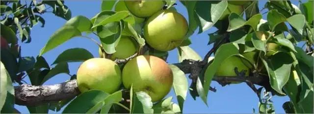 最新一期等着我,探寻忙碌生活中的温馨角落