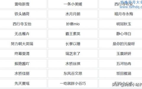 最新女生网名集合,一场趣味盎然的网络冒险之旅