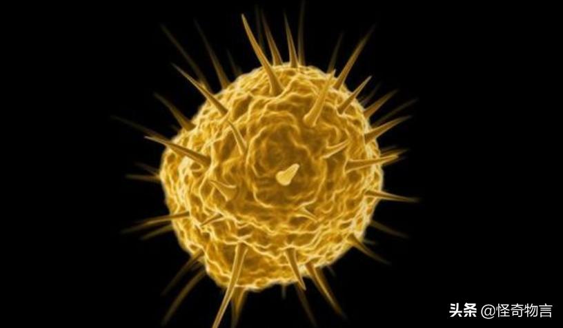 揭秘汞世界,最新汞科普带你探索神秘面纱下的真相