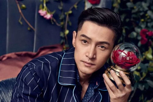 胡歌最新电视剧,城市温情时光