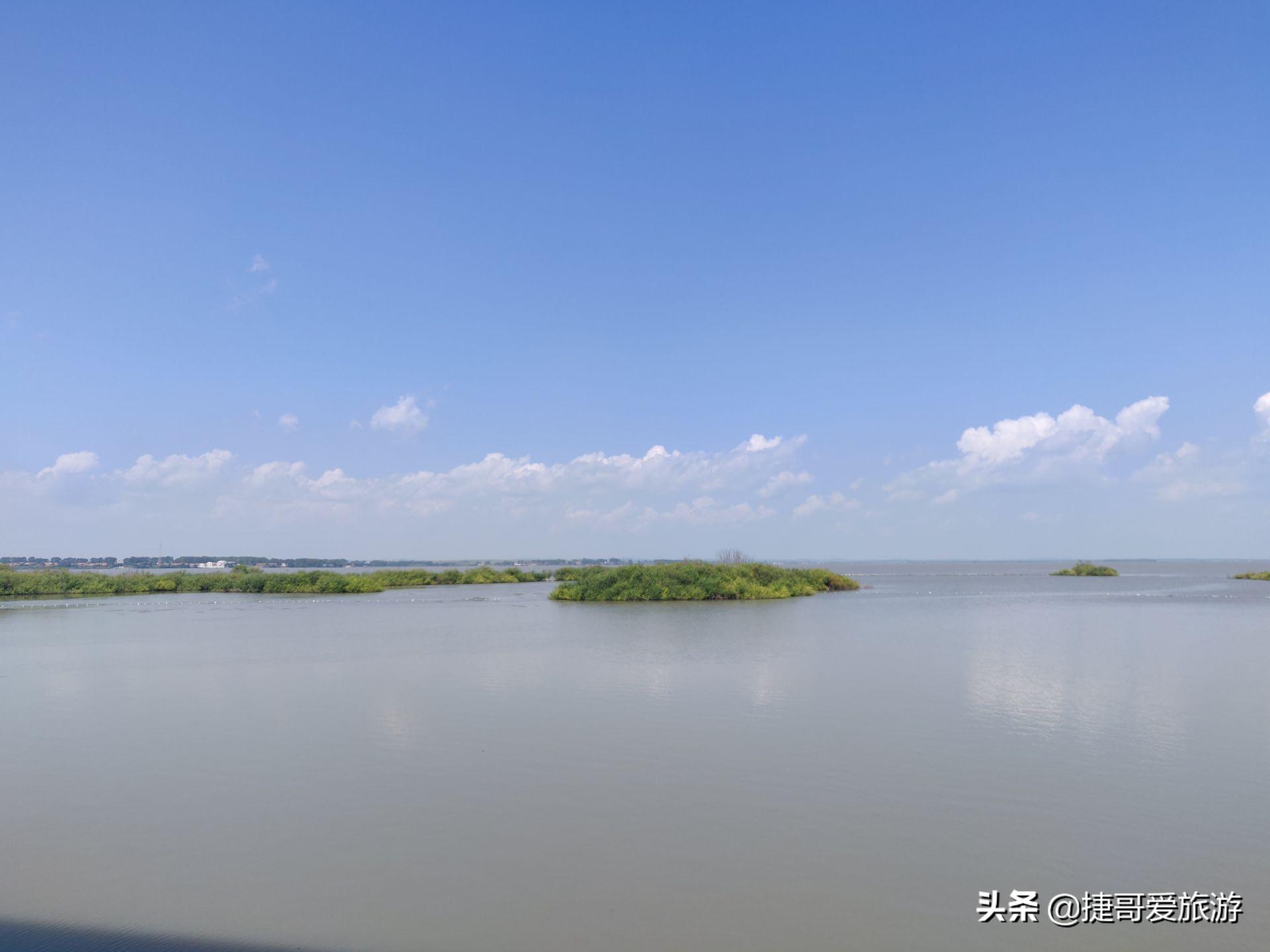 貂皮最新价格表及市场分析,时尚与珍稀元素交织的貂皮市场概览