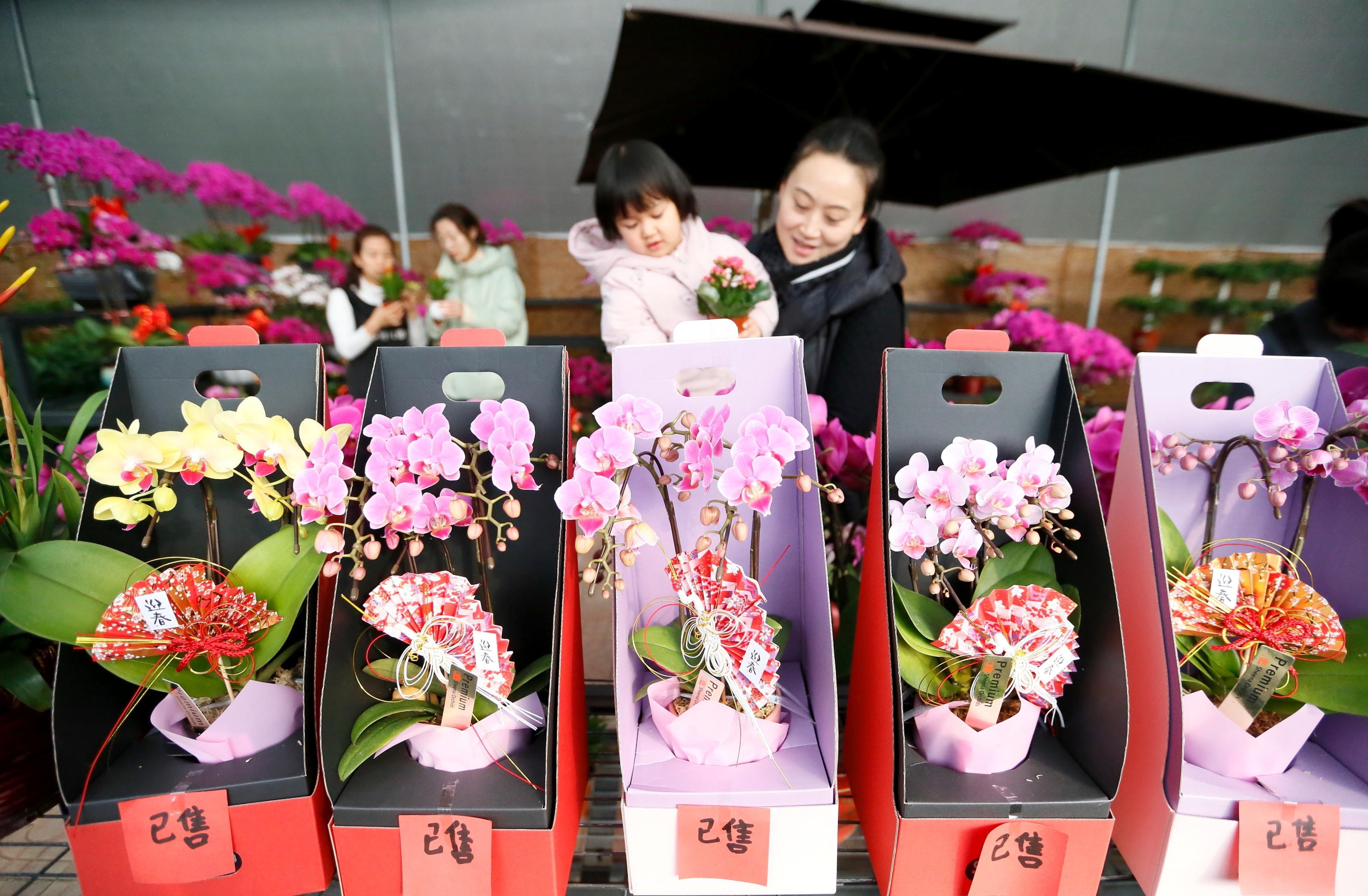 即墨招聘网最新招聘,启程寻找内心的平和绿洲,探索自然美景的旅行之路