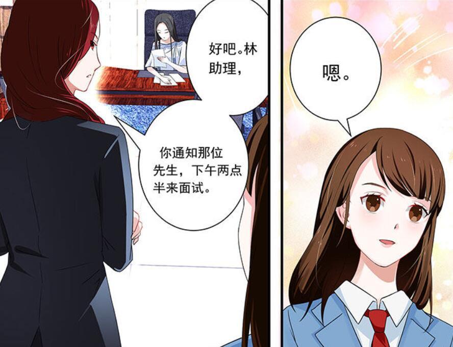 揭秘沈浪和苏若雪的最新动态,最新进展与揭秘他们的世界!