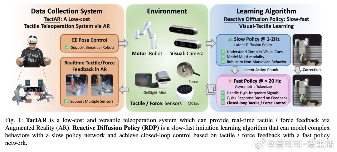 最新ASMR带来自信与成就感的蜕变之路
