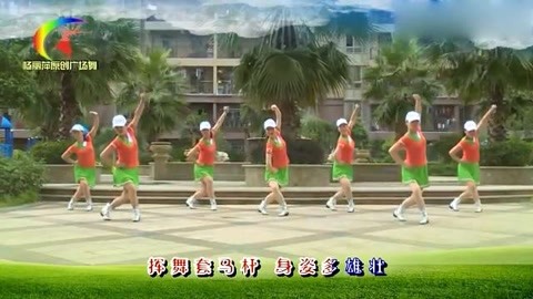 杨丽萍最新广场舞,社会现象的深度解读与赏析