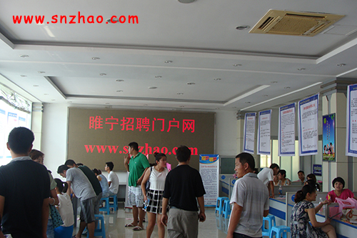 睢宁招聘网最新招聘动态及解析