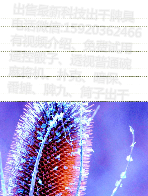 最新民谣与高科技产品融合介绍