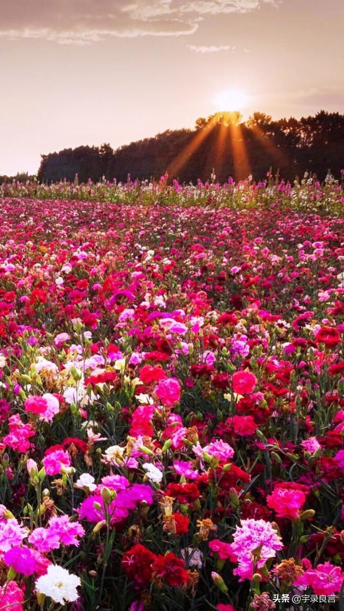 直播福利大放送,励志能量与学习变革的力量展现!