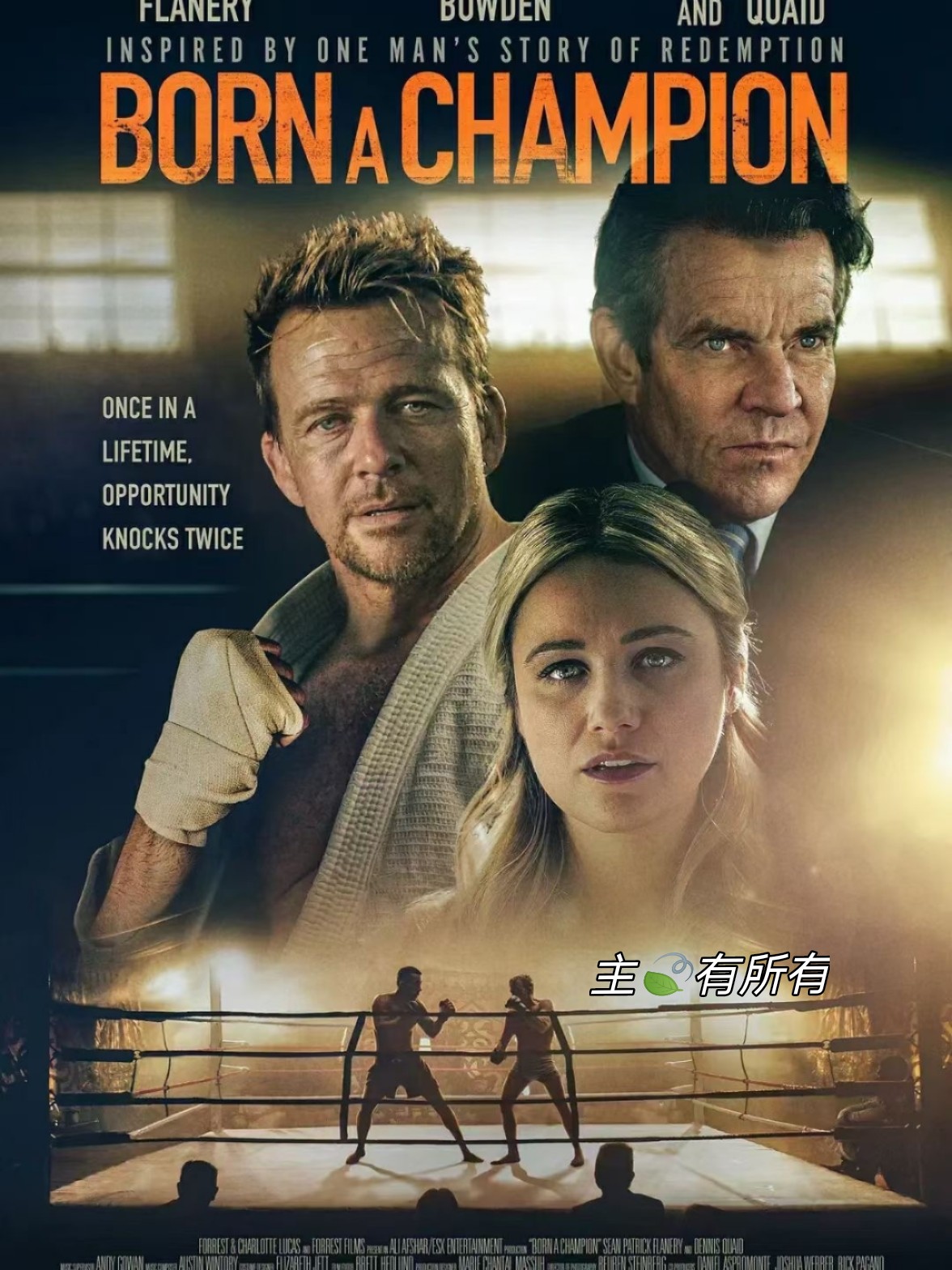 最新电影更新与观影全方位指南