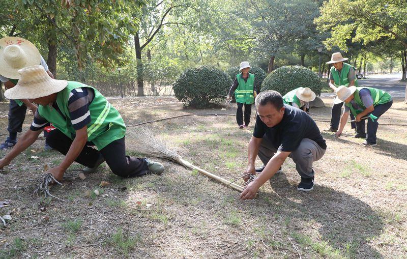 六安车祸最新动态,科技助力安全,智能守护生命安全