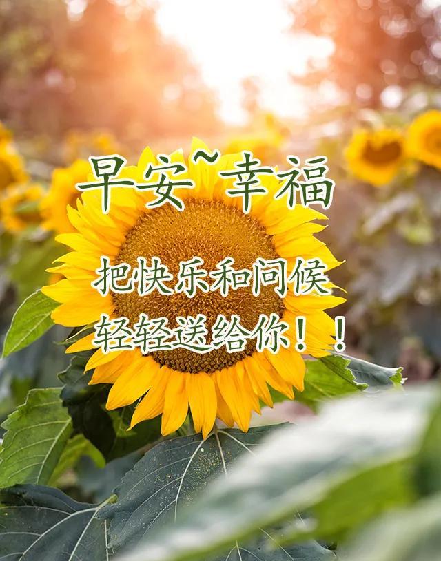 早上好最新动态图片,学习变化的力量与自信的成就展望