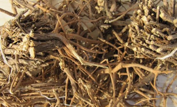 柴胡价格动态分析,最新价格、市场走势及影响因素探讨