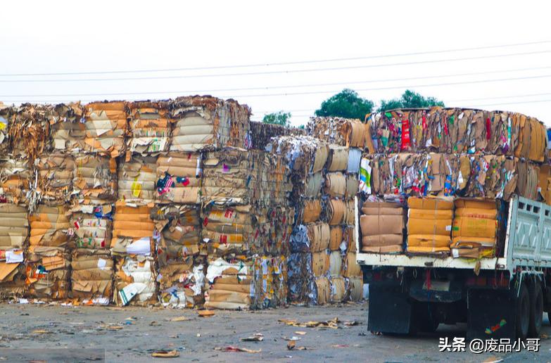 最新废纸回收价格,变化中的自信与成就感之源