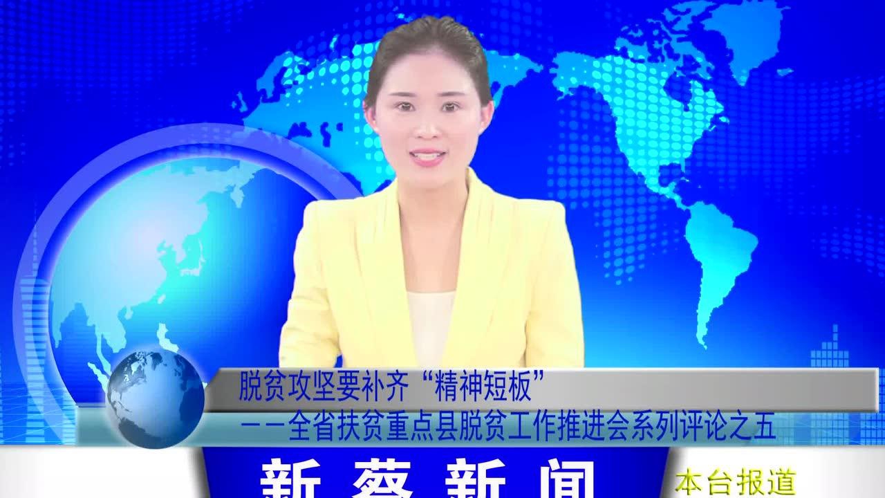 新蔡新闻热点,时代变迁中的瞩目焦点最新消息汇总