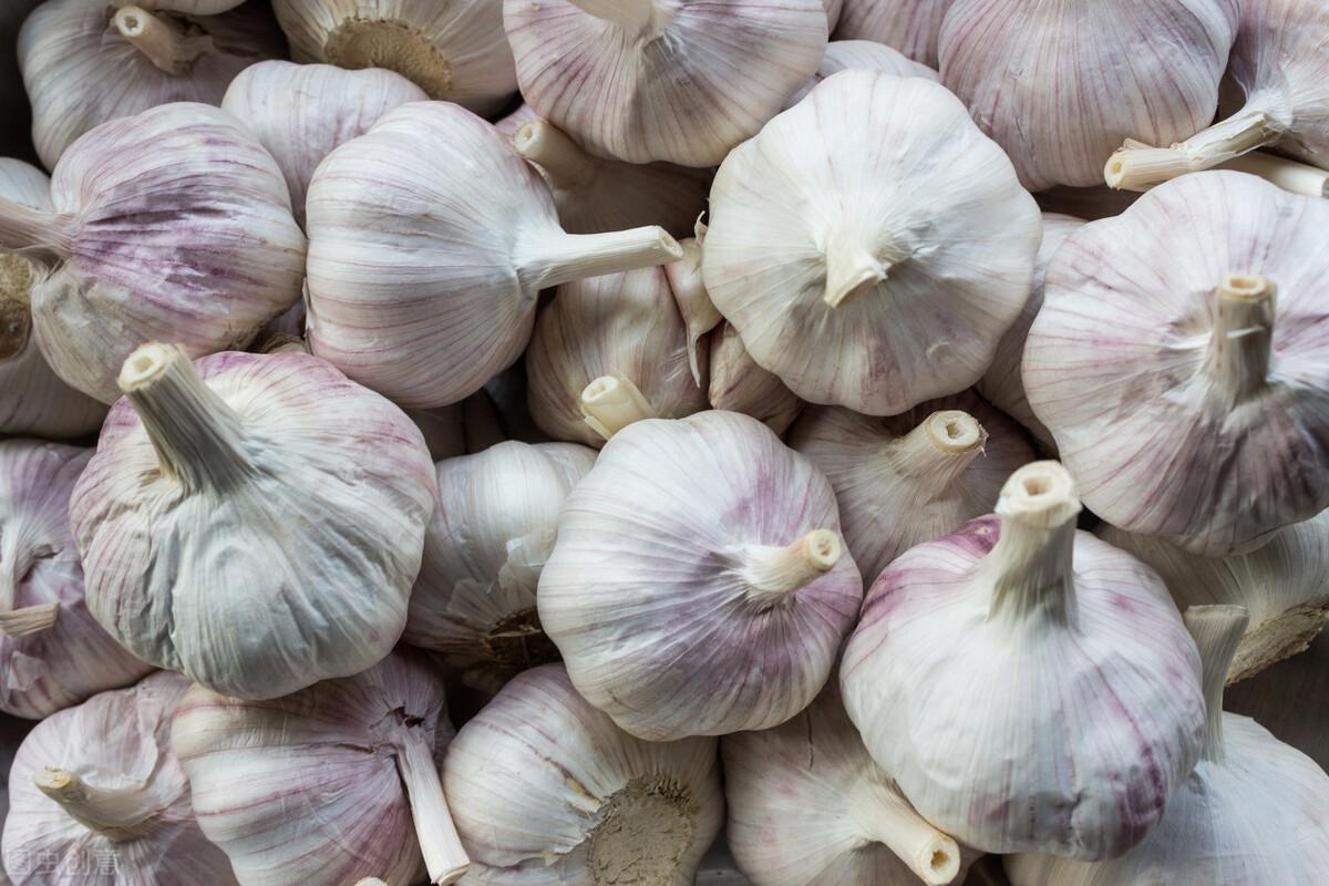 大蒜价格今日最新行情更新