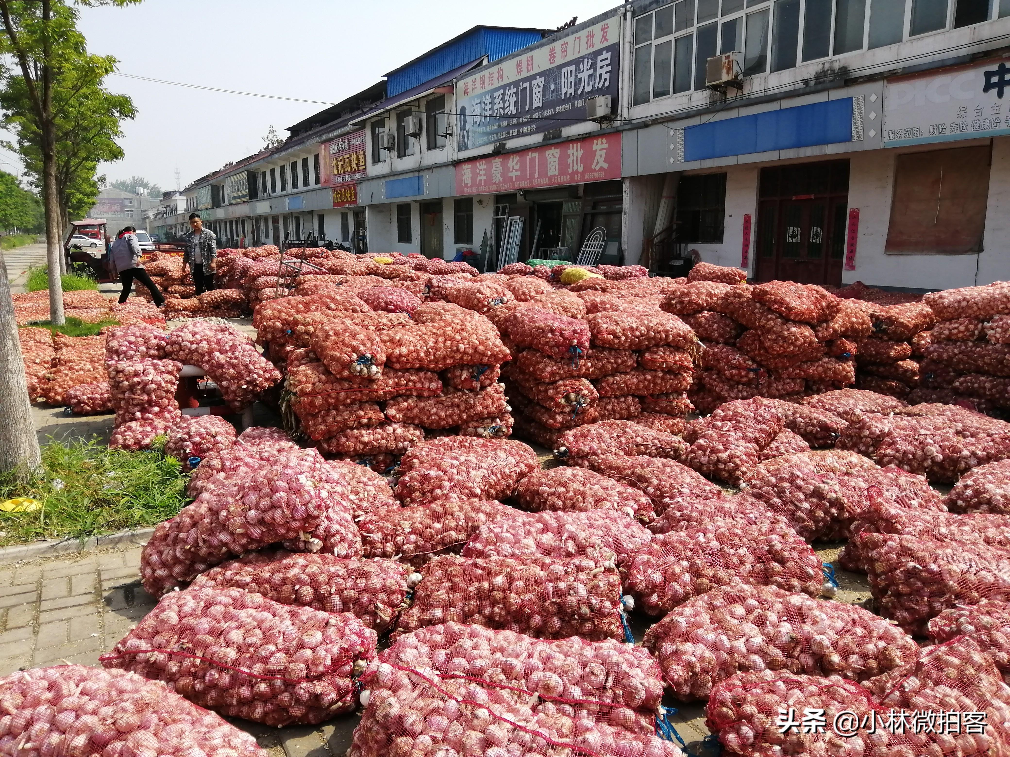 大蒜价格今日最新行情更新