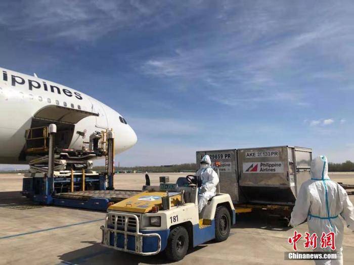 巴西疫情最新动态与大自然之旅,寻找内心平静的旅程