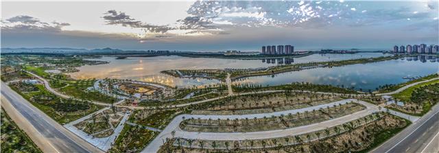 桃村焕发新活力,最新振兴乡村消息揭秘!