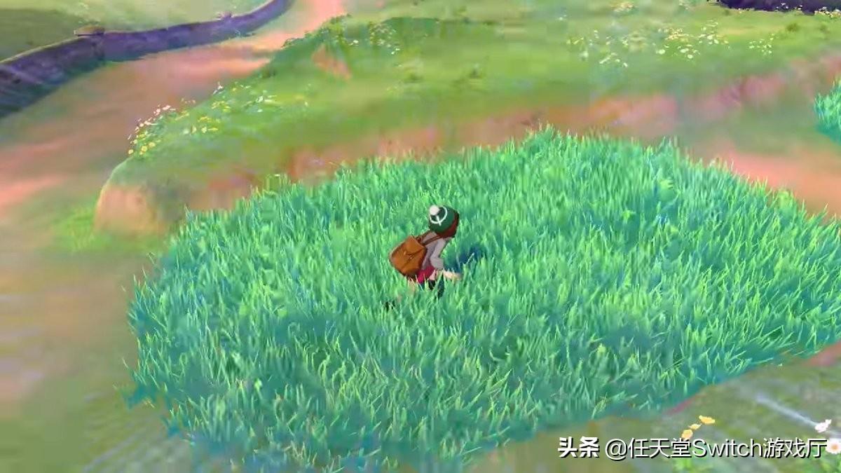 最新宝可梦,力量之变的自信旅程