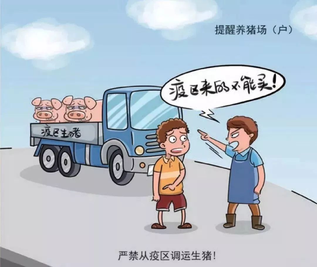 非洲猪瘟最新疫情动态与应对防护指南