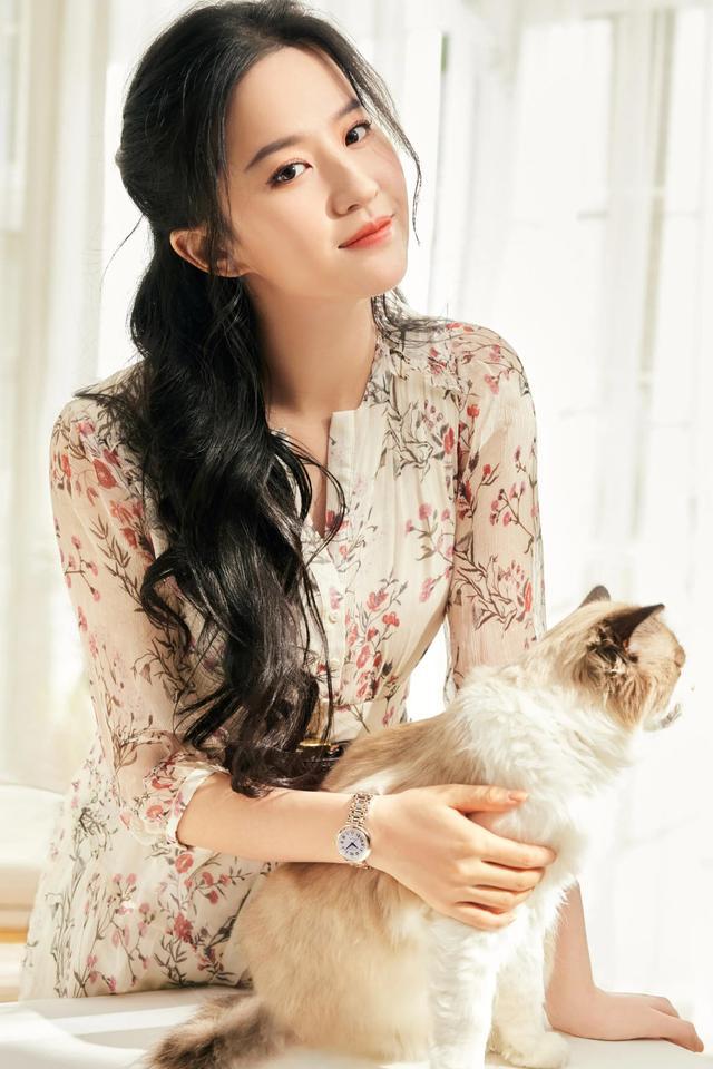 刘亦菲最新照片获取指南,从初学者到进阶用户的步骤教程