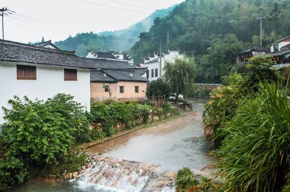 义乌最新新闻,探寻自然怀抱中的心灵宁静之旅