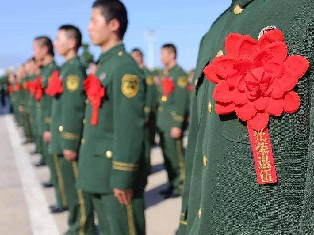 GL小说最新趋势,探索、发展与展望