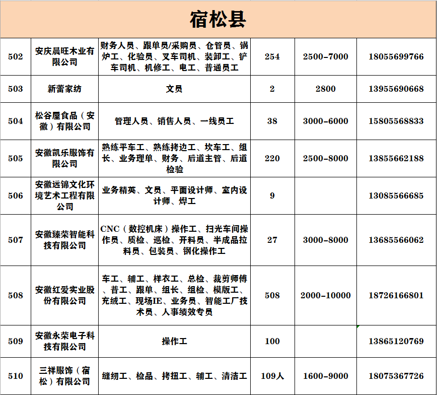 宿松最新招聘启幕,科技革新引领未来人才招募大潮