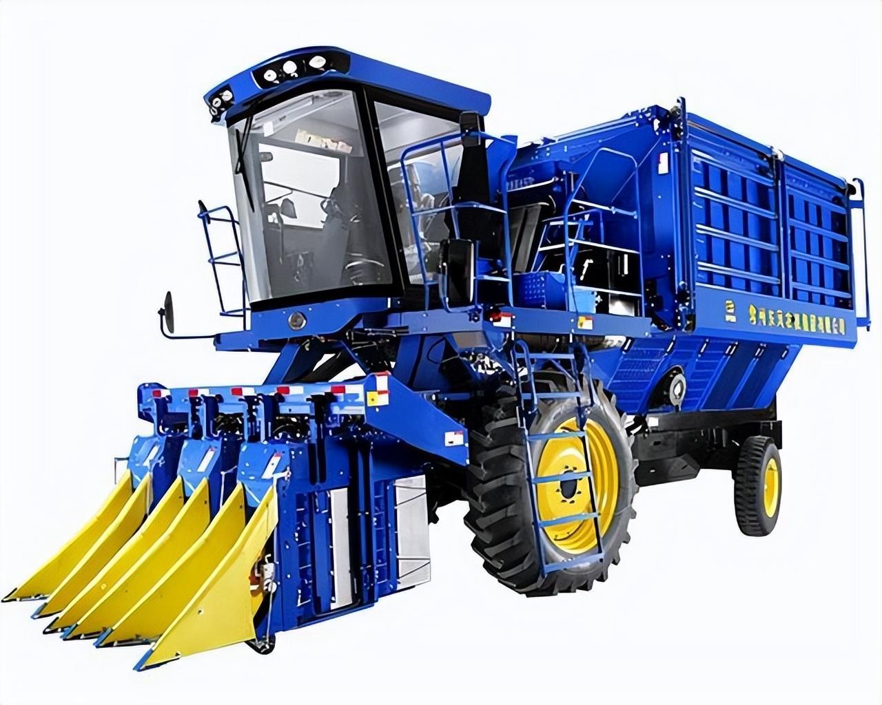 今日棉花最新价格,变化中的机遇,播种自信与成就的种子