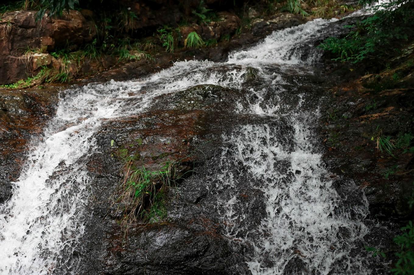 中央最新新闻,心灵与自然的完美邂逅——探索美景之旅